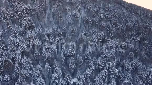 西伯利亚的冬季景观视频的预览图