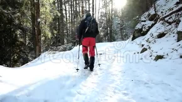 游客在美丽的冬林徒步旅行视频的预览图