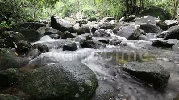 高茶茂瀑布视频的预览图