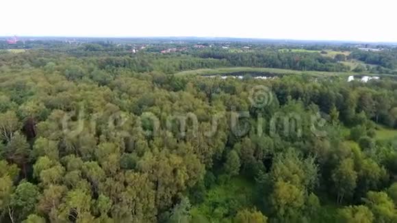波兰森林的鸟瞰图视频的预览图
