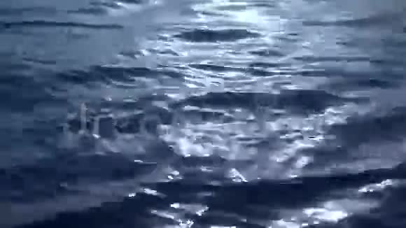 月光下的水波视频的预览图