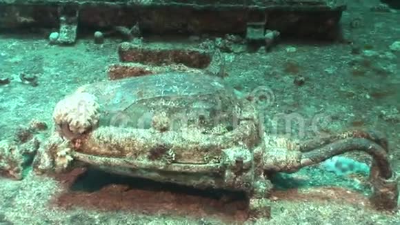 埃及红海海底的塞勒姆快车视频的预览图