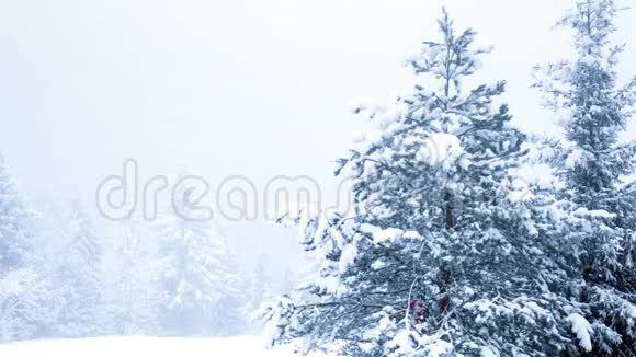美丽的冬季景观视频的预览图