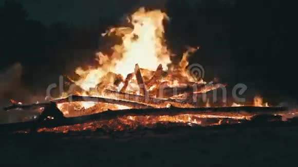 森林中的树枝夜间燃烧的篝火视频的预览图