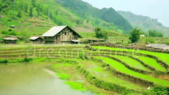 华丽的农田水稻梯田萨帕越南视频的预览图