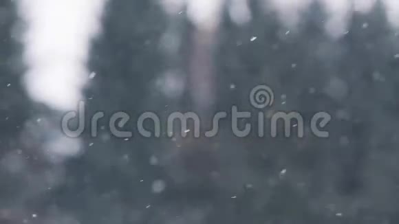 冬天在室外下雪视频的预览图