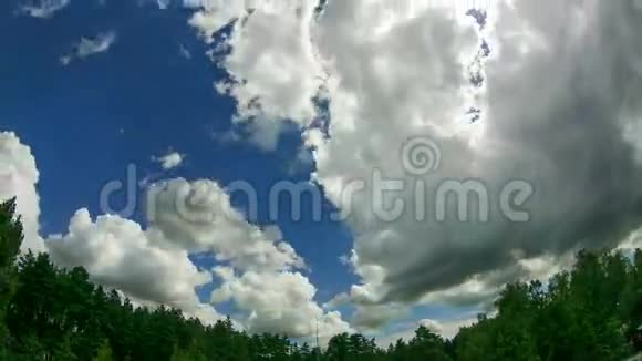 天空中的云在树的上方移动视频的预览图