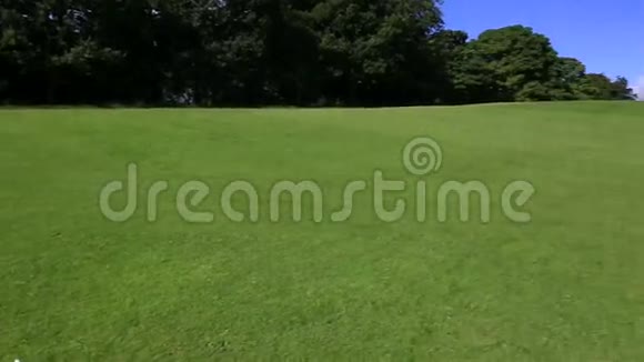 美丽的绿色草坪视频的预览图