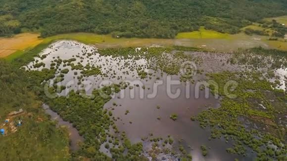稻田的鸟瞰图菲律宾视频的预览图