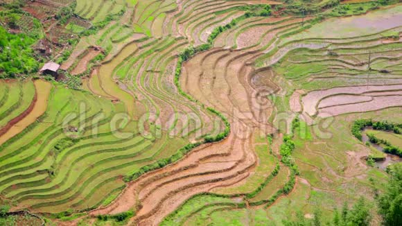 华丽的农田水稻梯田萨帕越南视频的预览图