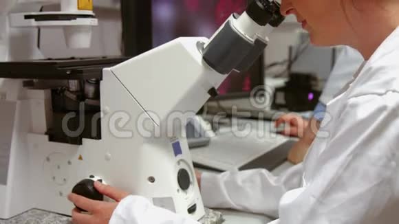 科学家通过显微镜观察视频的预览图