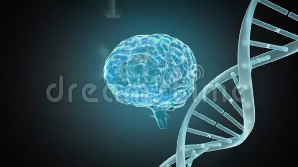 大脑和DNA螺旋的数字动画视频的预览图
