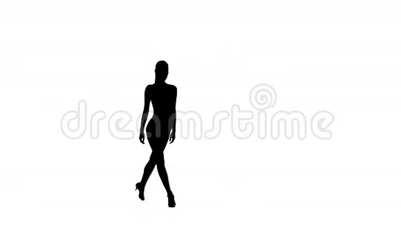 女子独舞元素的交谊舞黑色剪影工作室视频的预览图