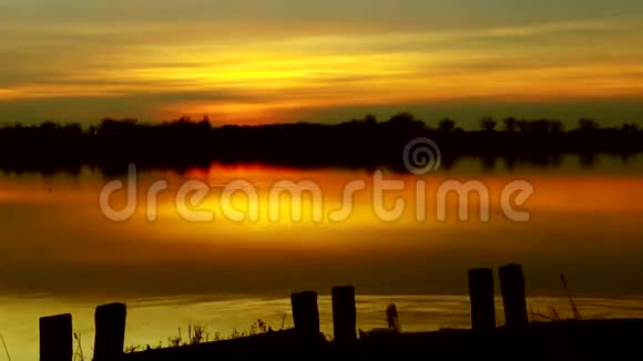 美丽的湖日出与天鹅视频的预览图
