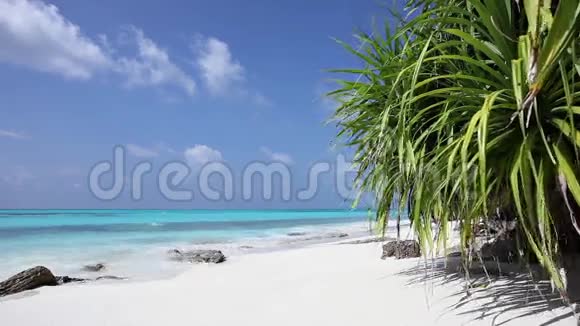 马尔代夫Fulhadhoo岛海滩有白色沙滩和海水视频的预览图