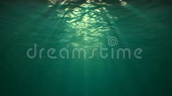 水下在海洋中的反射视频的预览图