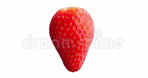 白底红草莓视频的预览图