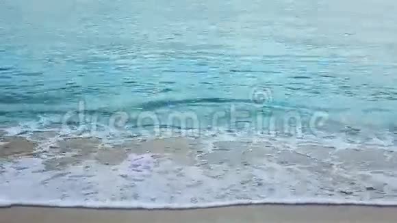 美丽的白沙滩和加勒比海视频的预览图