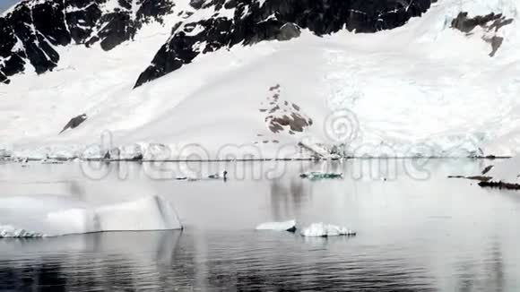南极洲在阳光明媚的一天视频的预览图