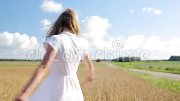 微笑着穿着白色衣服的年轻女子在麦田里视频的预览图