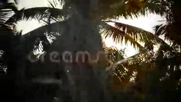 棕榈树和天空日落视频的预览图