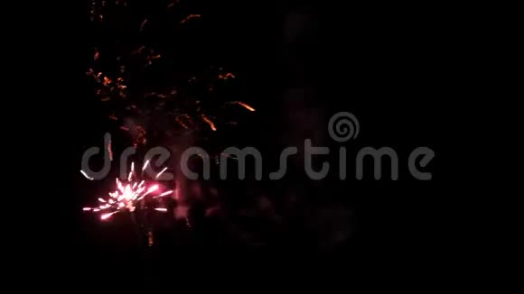 烟火假期新年快乐视频的预览图