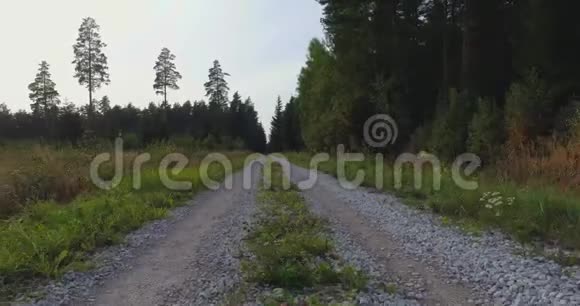 空中观景台飞过森林里美丽的秋树空中摄影机拍摄视频的预览图