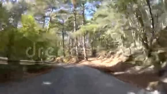 蜿蜒的道路穿过森林去专业视频的预览图
