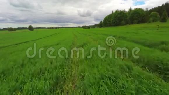 鸟瞰草地云层覆盖绿色草地视频的预览图