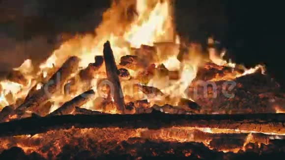 森林中的树枝夜间燃烧的篝火视频的预览图