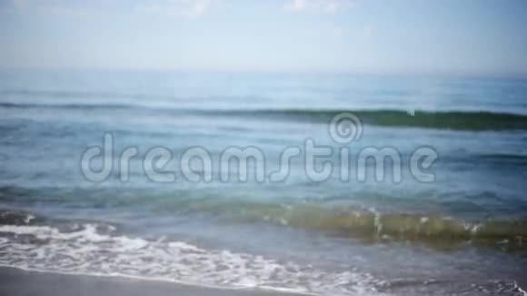 美丽的海滩女郎视频的预览图