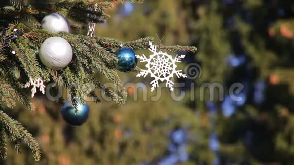 街道上装饰的圣诞树视频的预览图