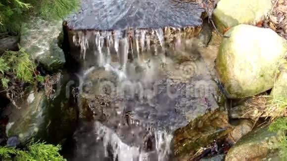 在森林的小溪上的瀑布视频的预览图
