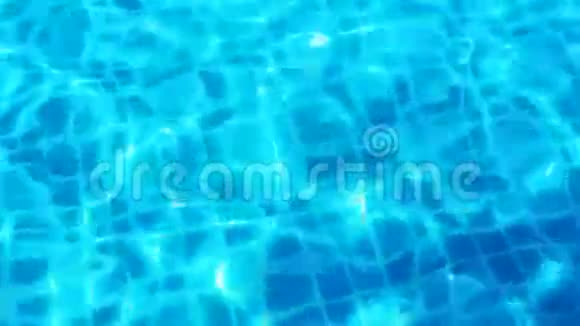 在游泳池游泳的漂亮女孩视频的预览图