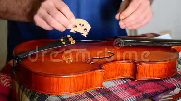 在工作场所使用小提琴的Luthie视频的预览图