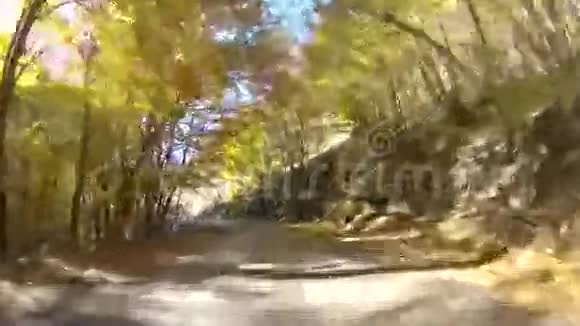 蜿蜒的道路穿过森林去专业视频的预览图