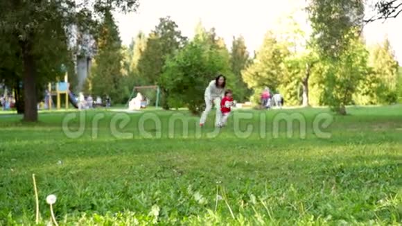 春天公园里的幸福家庭视频的预览图