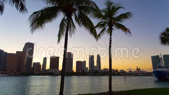 迈阿密佛罗里达美国市中心天际线视频的预览图