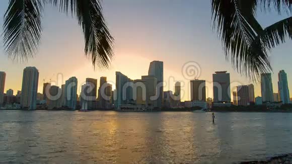 迈阿密佛罗里达美国市中心天际线视频的预览图