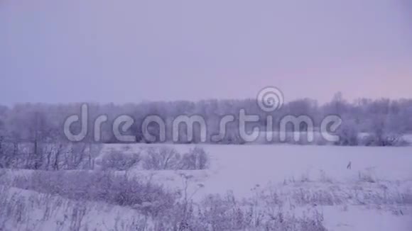 下雪了冬季景观视频的预览图