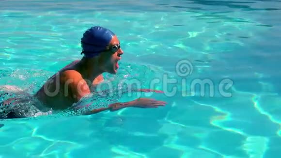 适合游泳者在游泳池中进行蛙泳视频的预览图