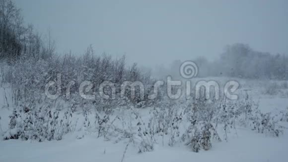 下雪了冬季景观视频的预览图