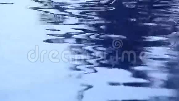 树影倒影在水中视频的预览图