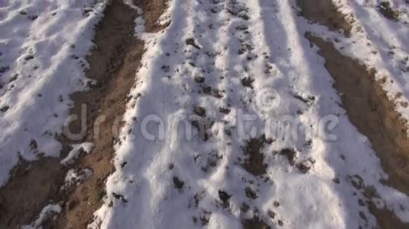 美丽的冬季农业田间景观视频的预览图