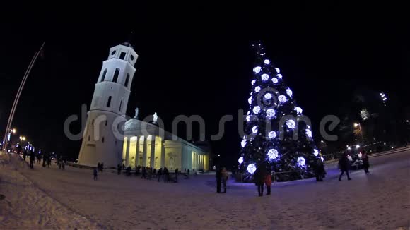 维尔纽斯大教堂广场上的圣诞树视频的预览图