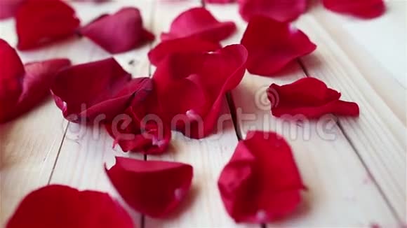 红色玫瑰花瓣木质背景视频的预览图