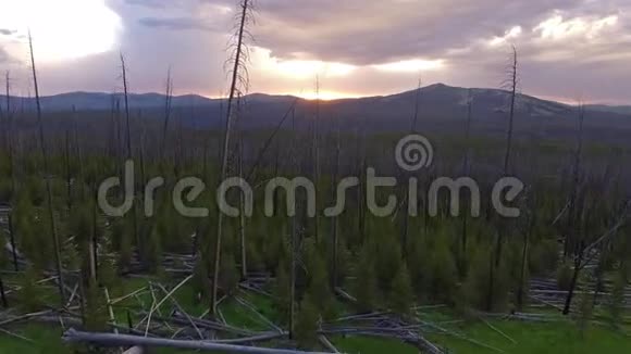 空中怀俄明州黄石国家公园视频的预览图