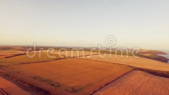 金色田野的镜头视频的预览图