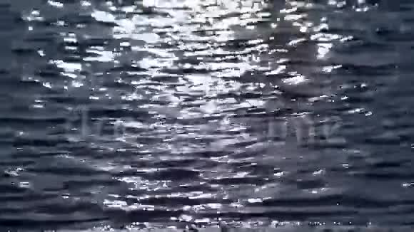水中的光反射视频的预览图