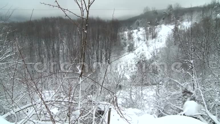 美丽的冬季景观与森林视频的预览图